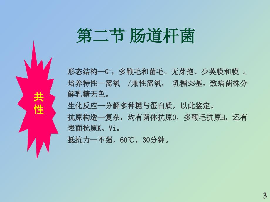 卫校讲稿-第五节课培训讲学_第1页