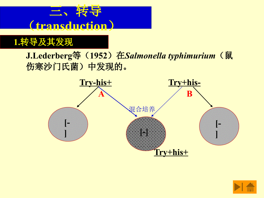 基础微生物学课件46教材课程_第1页