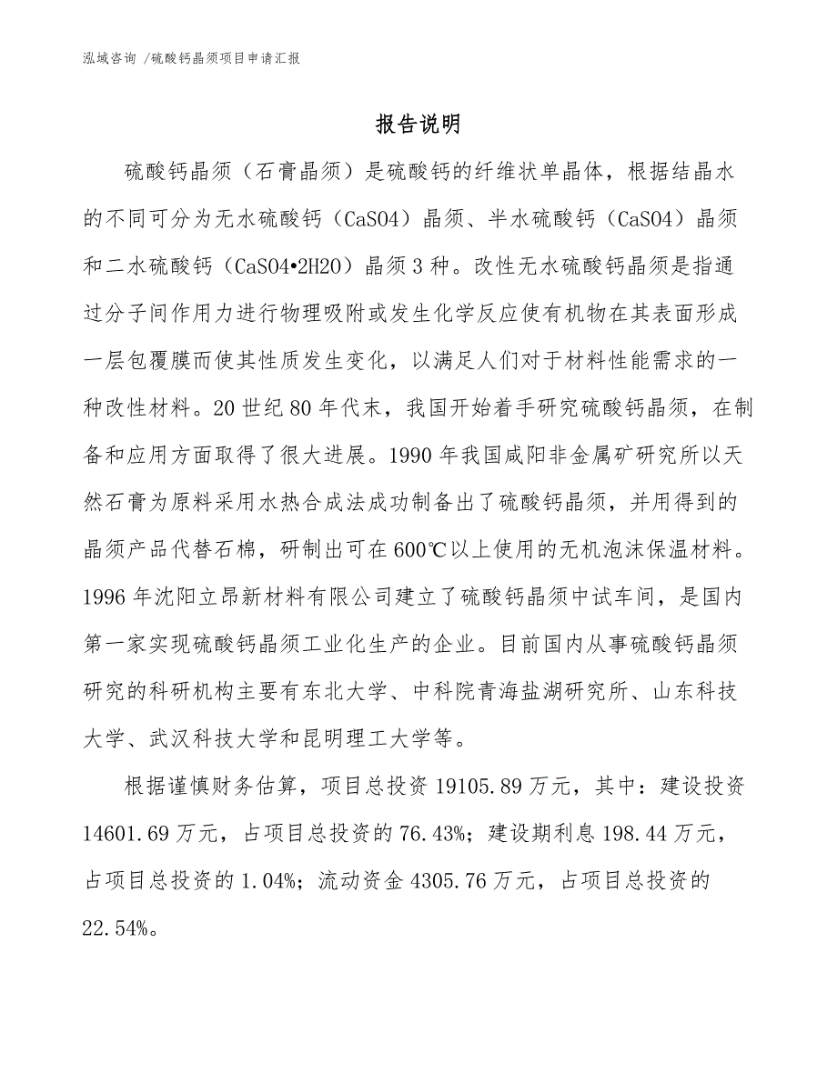 硫酸钙晶须项目申请汇报（模板参考）_第1页