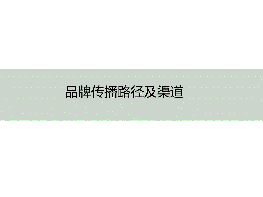 XXXX西双纳国际旅游假区传播推广提案_第1页