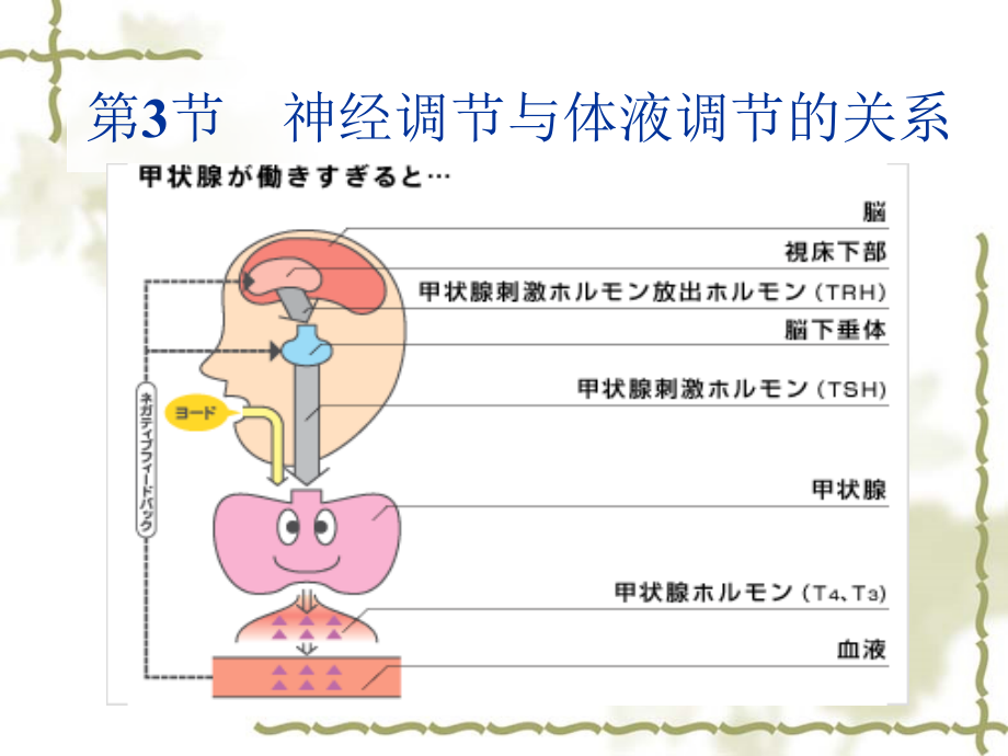 生物第3节神经调节与体液调节的关系教学案例_第1页