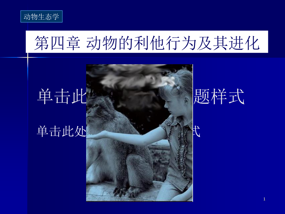 第八章动物的利他行为与亲缘选择p教学讲义_第1页