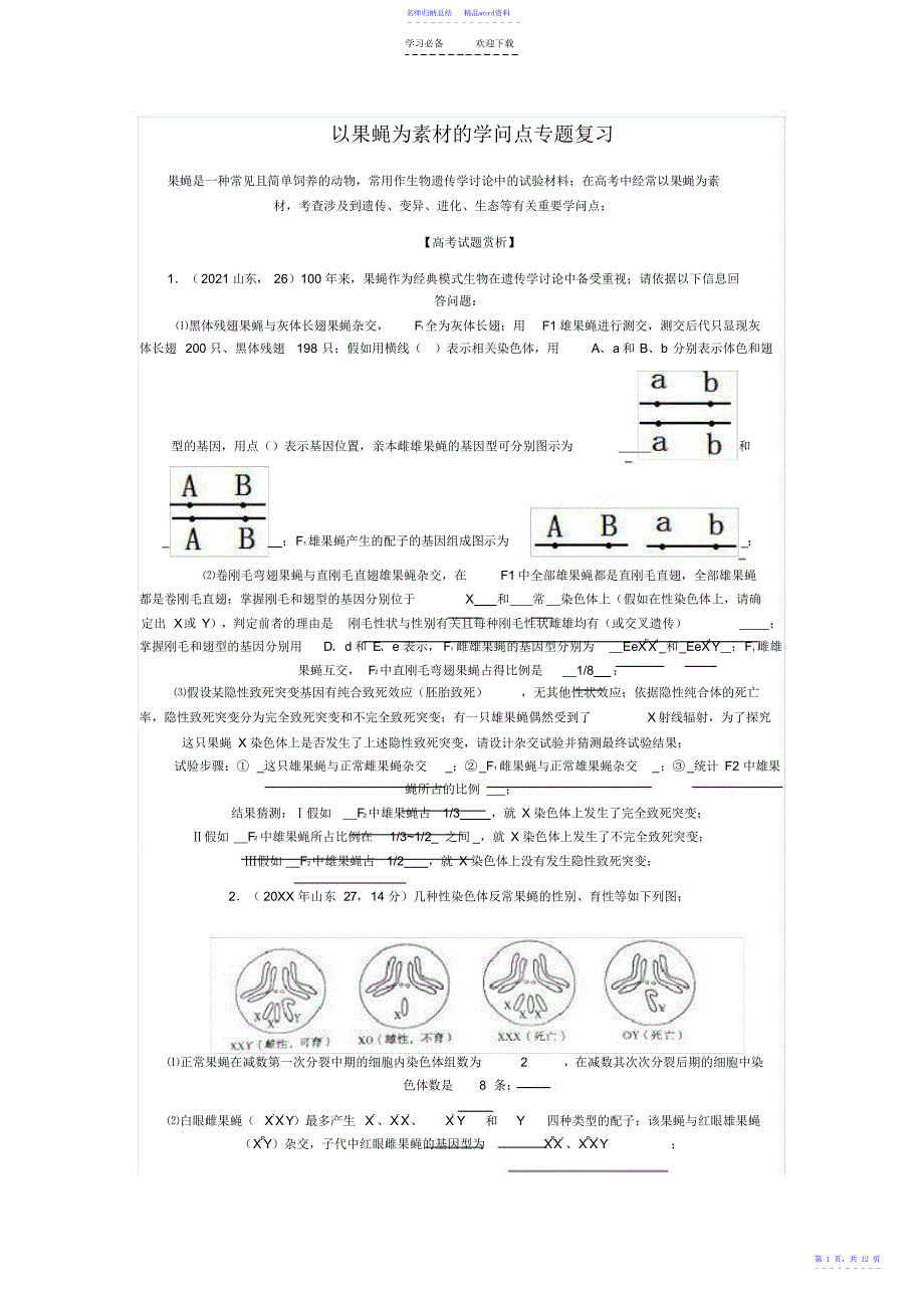 果蝇知识点专题复习_第1页