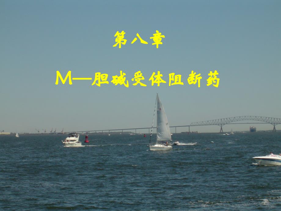 08抗胆碱药v教学教材_第1页