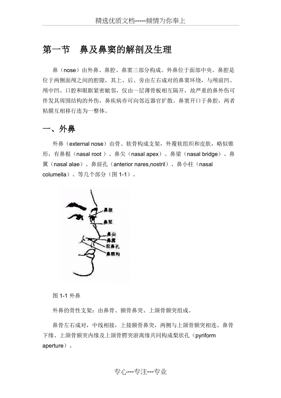 第一节-鼻及鼻窦的解剖及生理(共14页)_第1页