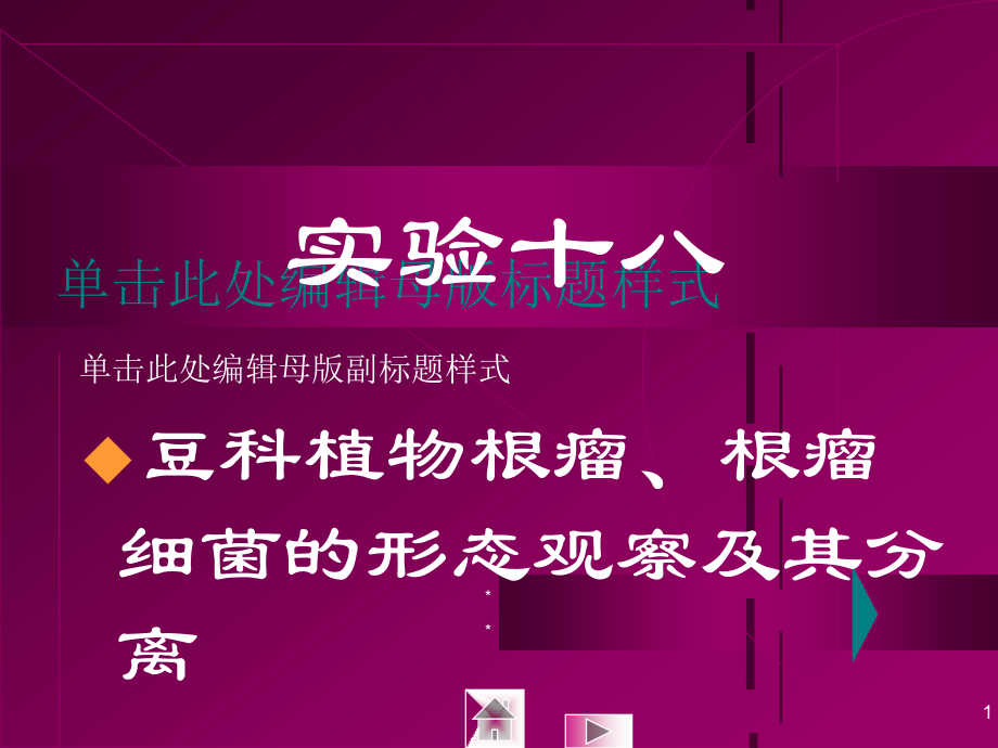 实验十八豆科植物根瘤根瘤细菌的形态观察及其分离教学文案_第1页