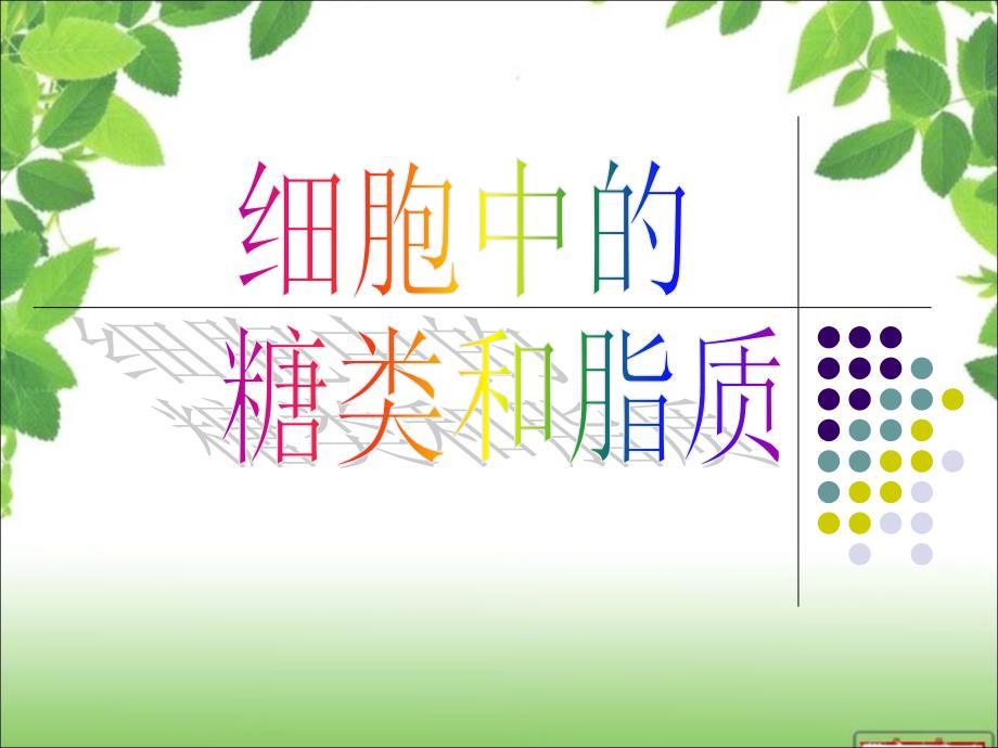 糖类和脂质教学材料_第1页