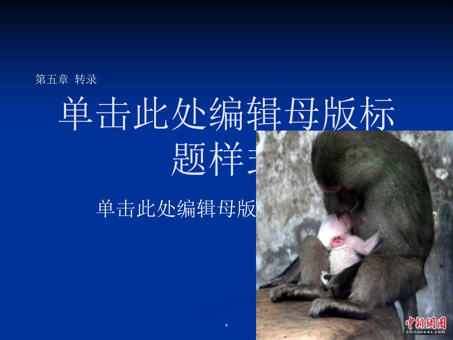 第五章转录教学文案_第1页