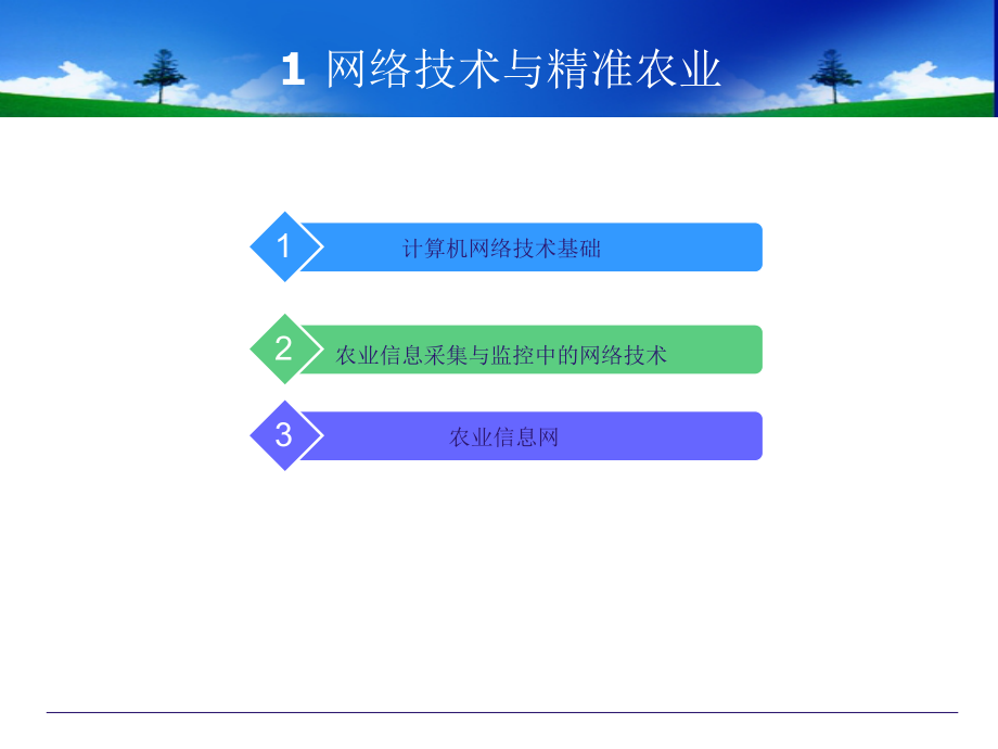 网络技术与精准农业_第1页