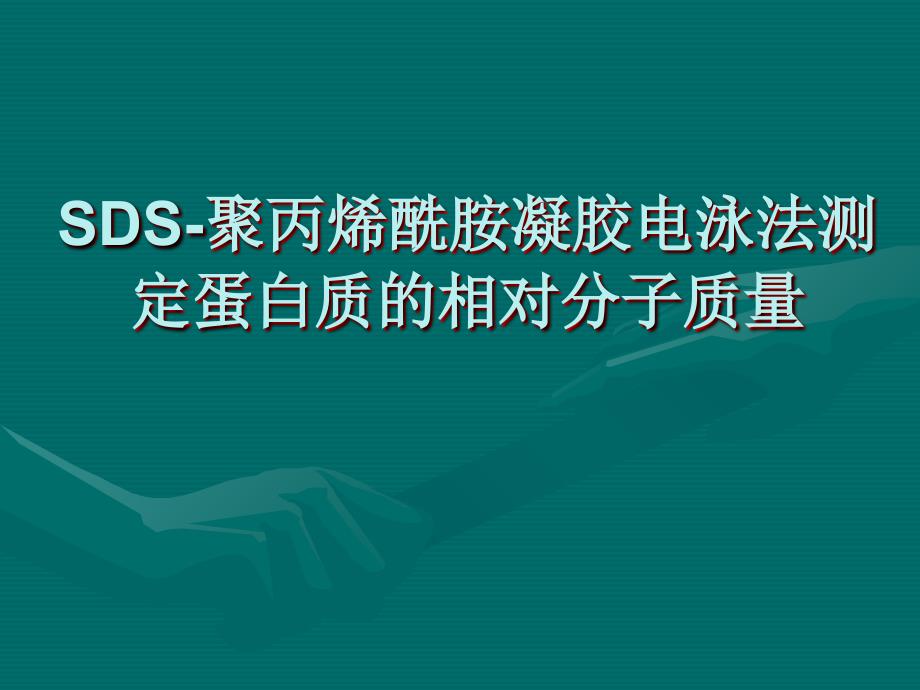 SDS-聚丙烯酰胺凝胶电泳法测定蛋白质的相对分子质量p电子教案_第1页