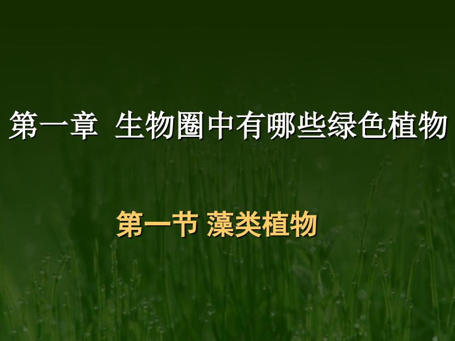 生物圈中有哪些绿色植物藻类植物教学材料_第1页