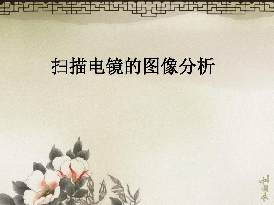 电镜图像的分析知识课件知识讲稿_第1页