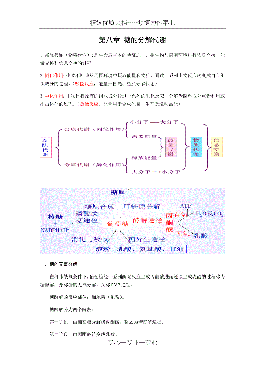 第八章糖的分解代谢(共11页)_第1页