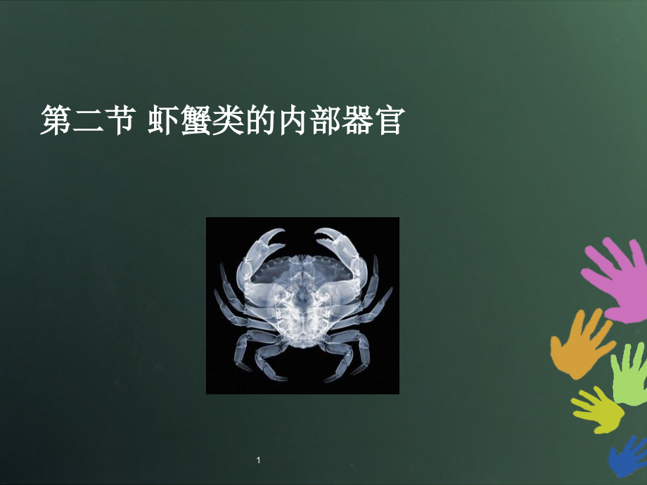 第二节虾蟹类的内部构造v教学案例_第1页