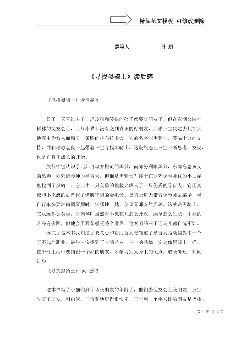 2022年《寻找黑骑士》读后感_第1页