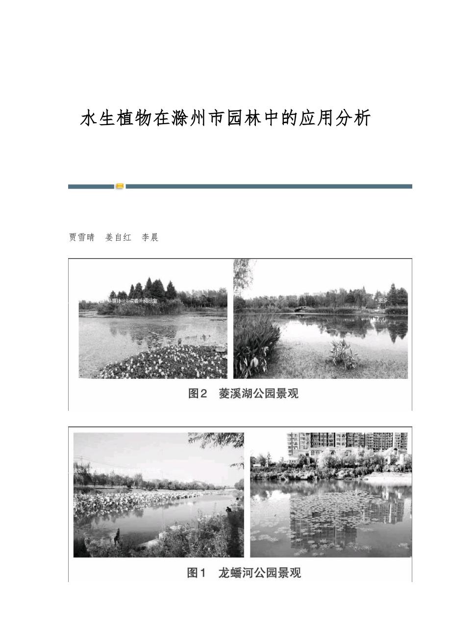 水生植物在滁州市园林中的应用分析_第1页
