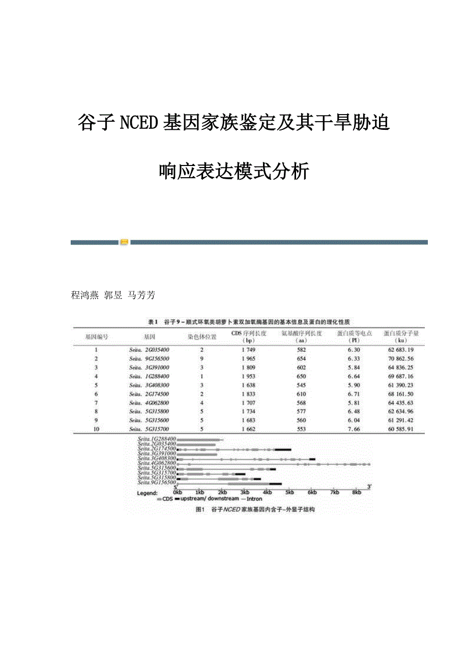 谷子NCED基因家族鉴定及其干旱胁迫响应表达模式分析_第1页
