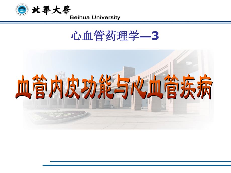 血管内皮功能与心血管疾病ppt_第1页