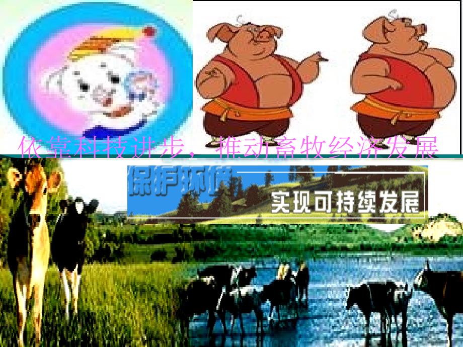 动物消化系统p讲解学习_第1页