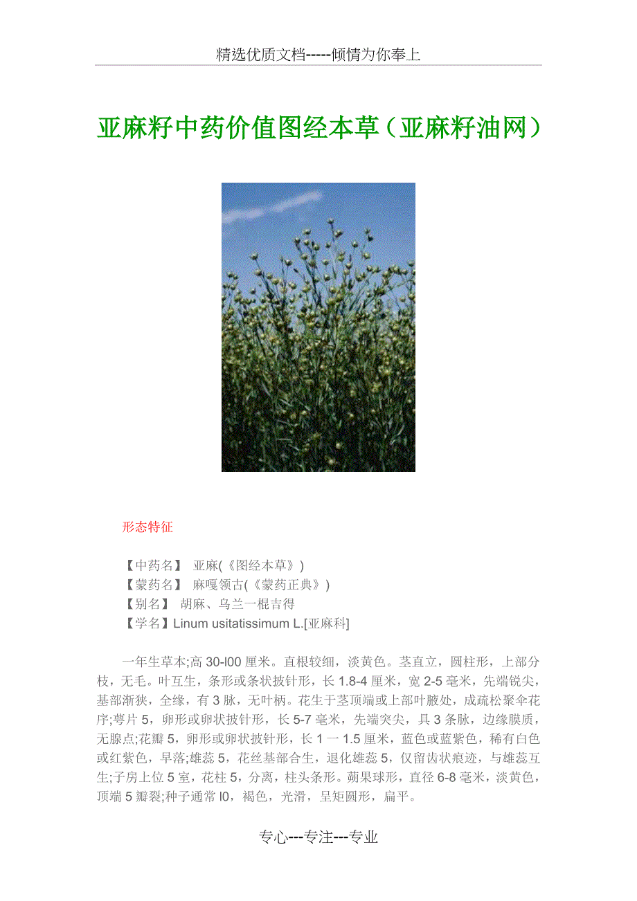 亚麻籽中药价值图经本草(共12页)_第1页
