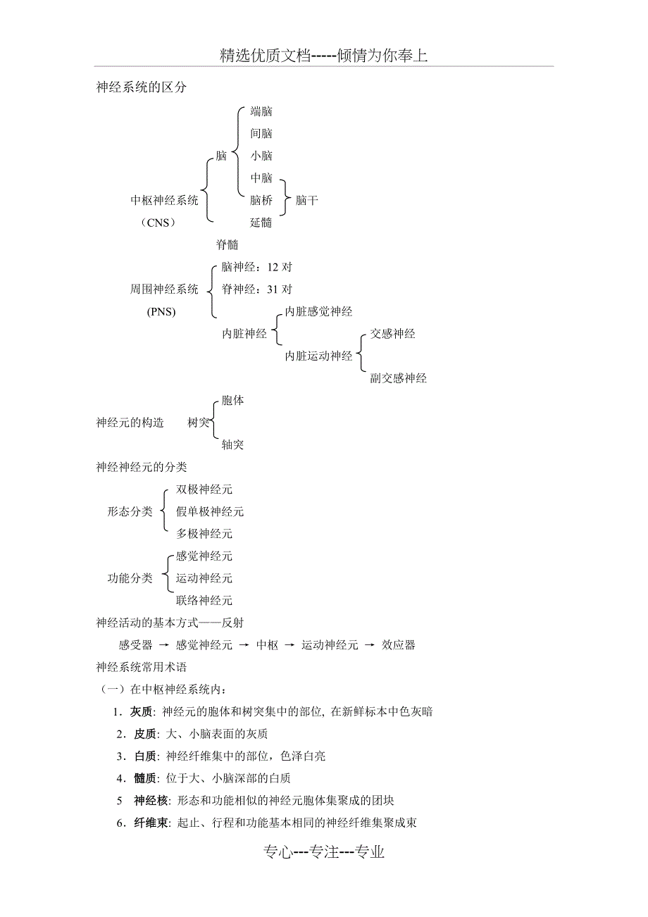 神经系统内容总结(共19页)_第1页