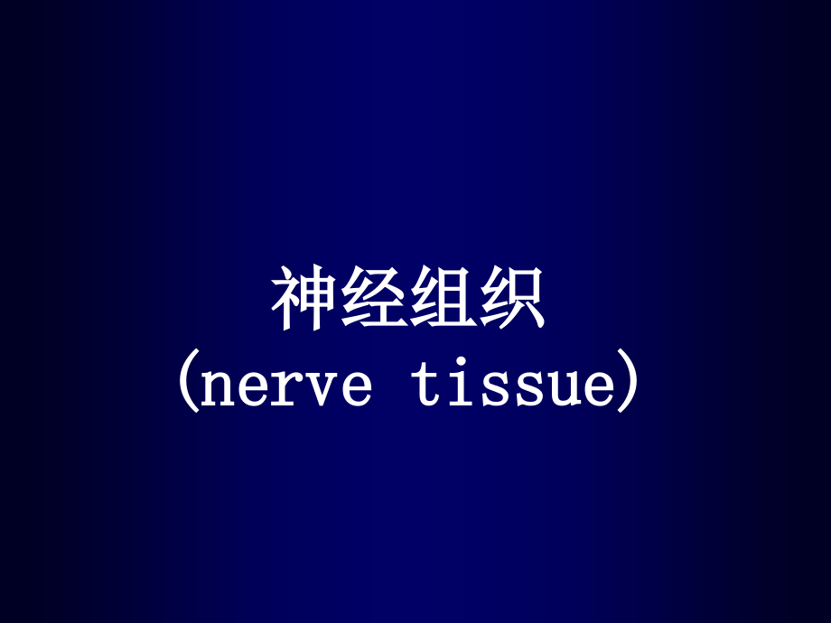 神经组织nerve tissue)的组成培训教材_第1页