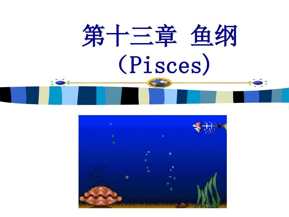 第十三章鱼纲知识分享_第1页