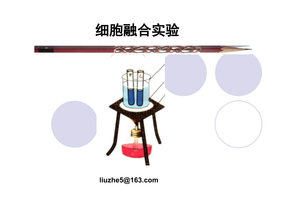 细胞生物学实验细胞融合教程文件_第1页
