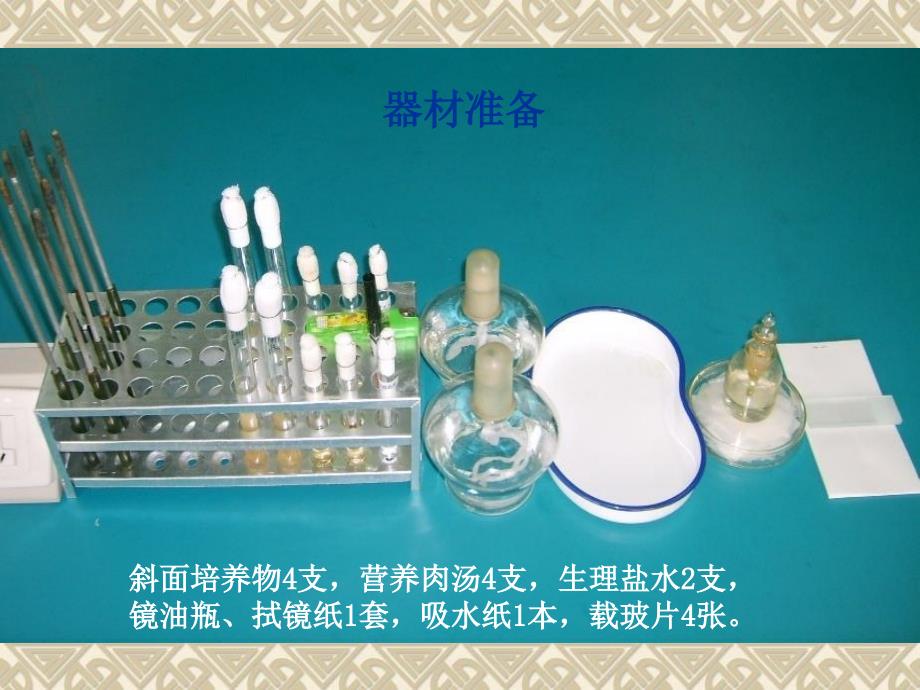 脓汁和粪便标本中病原菌的检测-4幻灯片资料_第1页