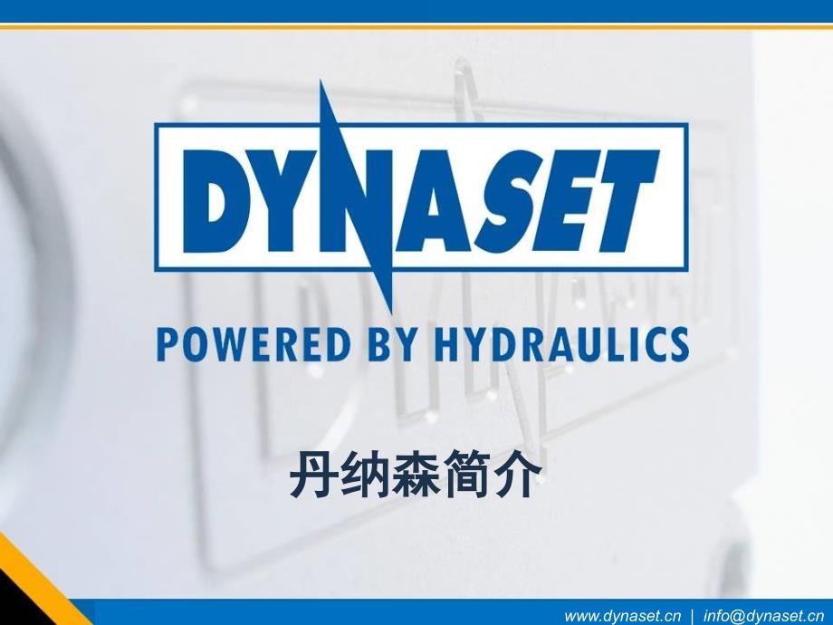 Dynaset简介备课讲稿_第1页