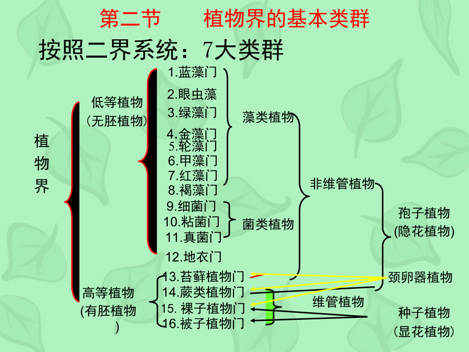 102第十章植物界的基本类群高等植物资料讲解_第1页