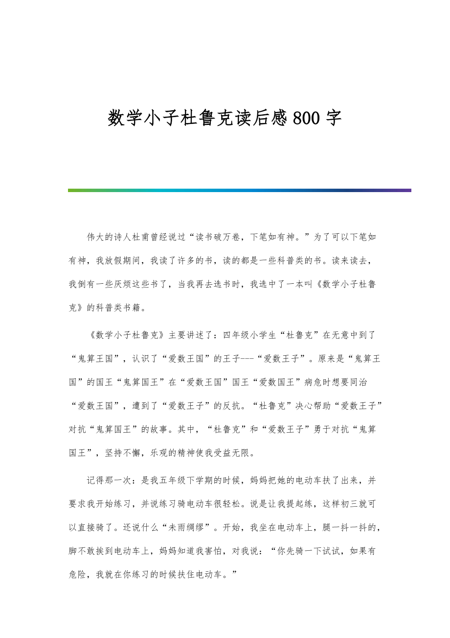数学小子杜鲁克读后感800字_第1页