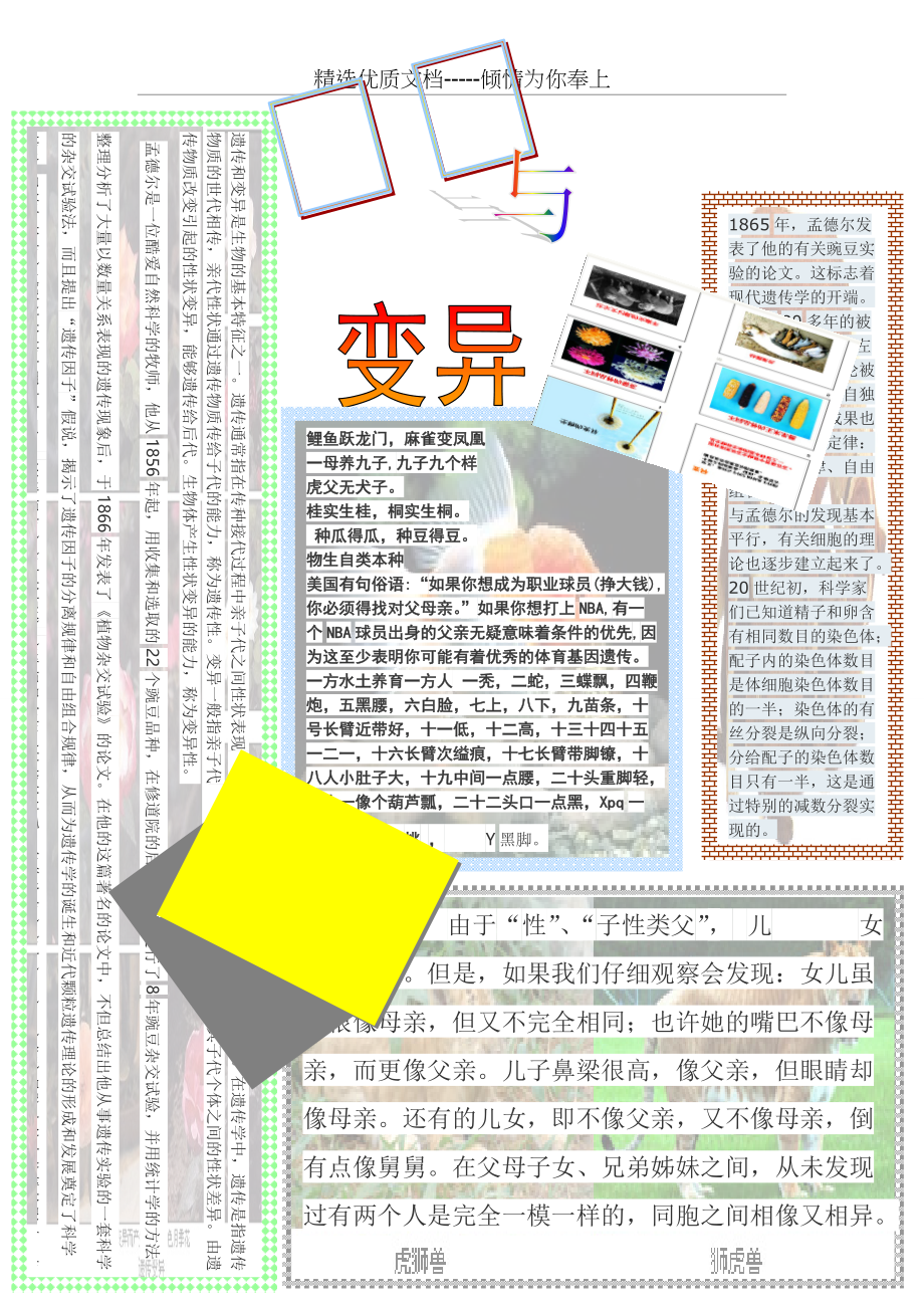 遗传与变异手抄报(共1页)_第1页