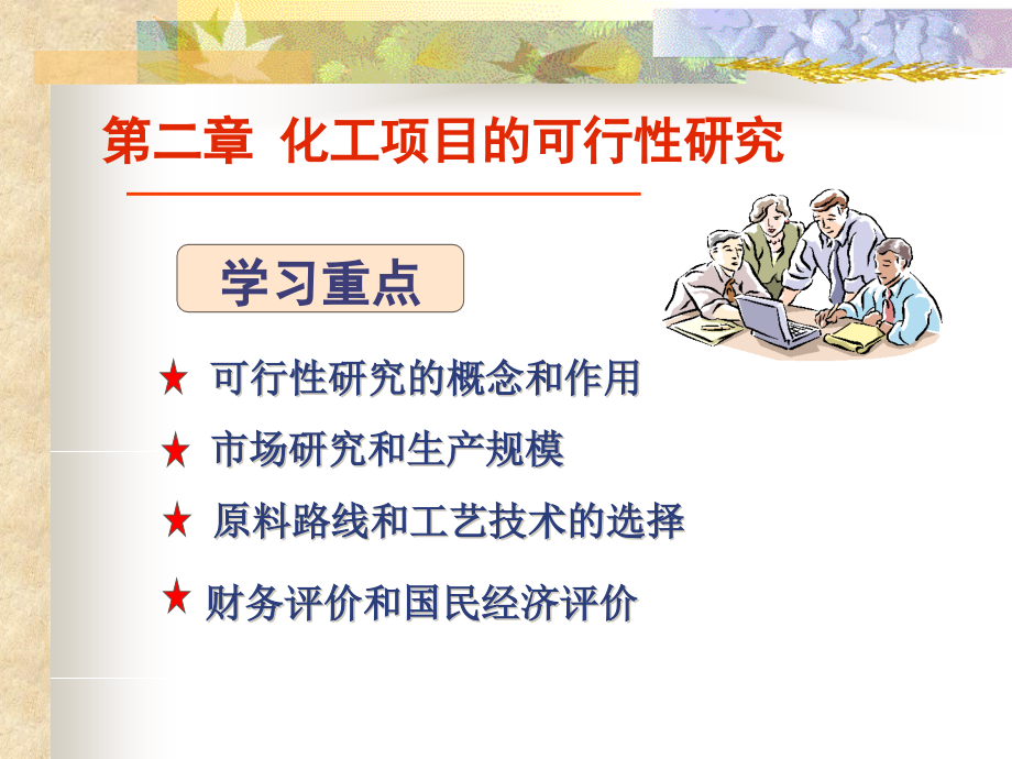 化工项目可行性研究_第1页