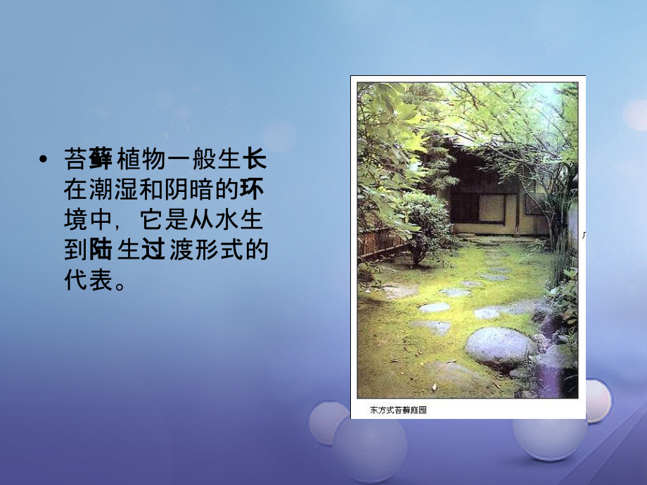 八年级生物下册22.3植物的主要类群课件2新版北师大版_第1页