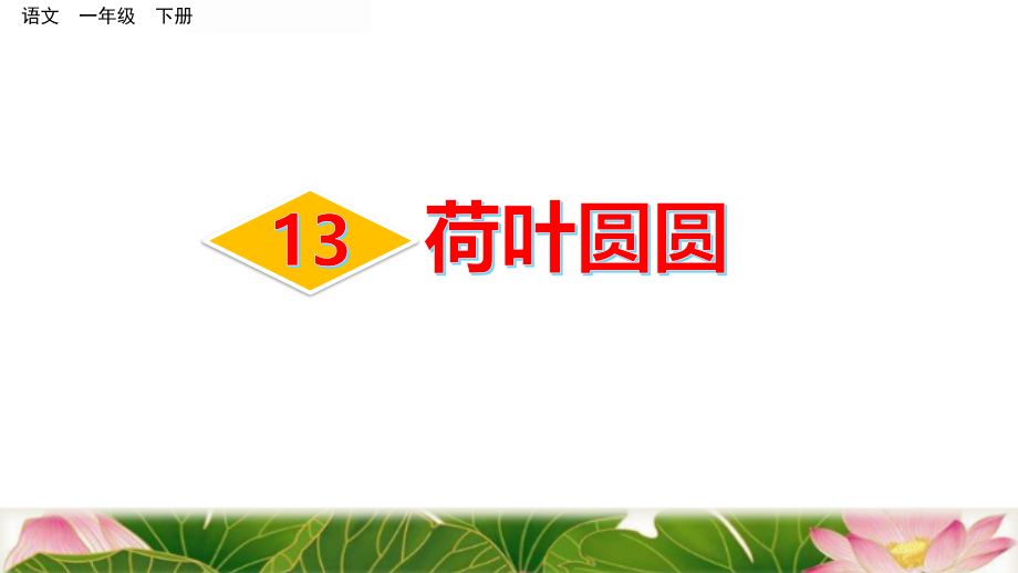 一年级下册语文课件-13荷叶圆圆人教(部编版)(PPT 52页)_第1页
