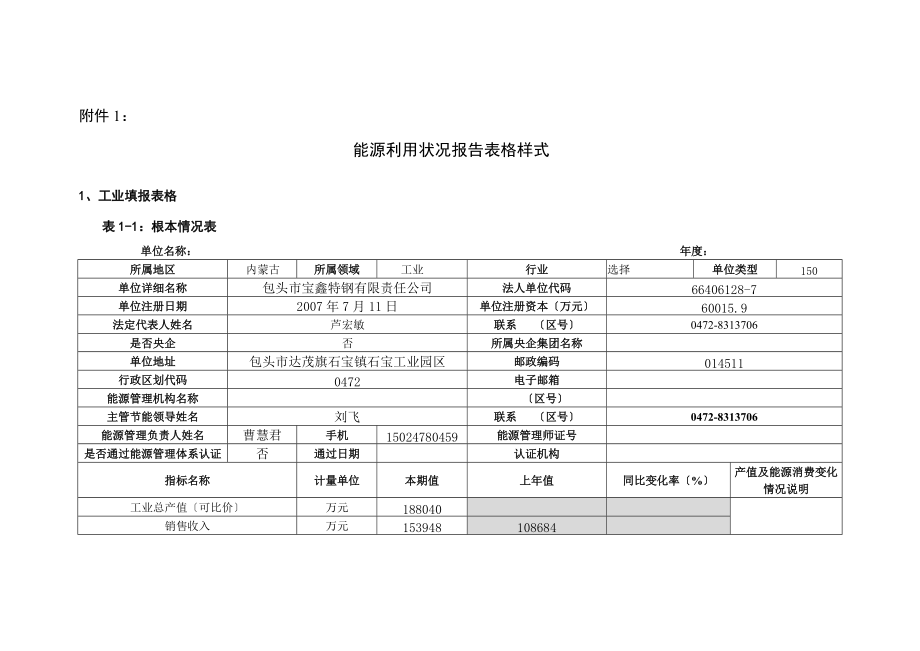 能源报表填写样本可用_第1页