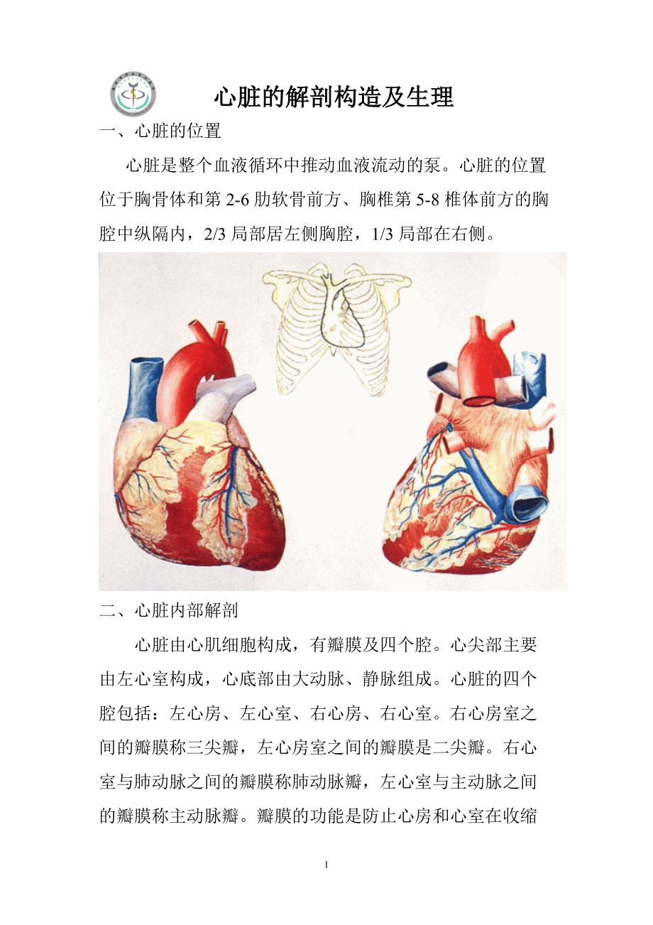 心脏的解剖结构及生理(含彩图)扫描_第1页