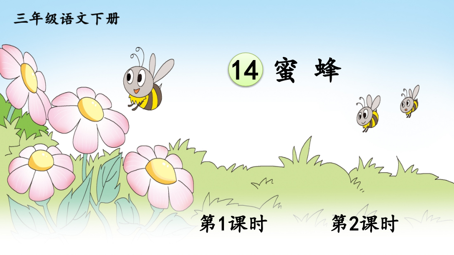 统编版三年级语文下册第14课《蜜蜂》优质课件【最新】_第1页