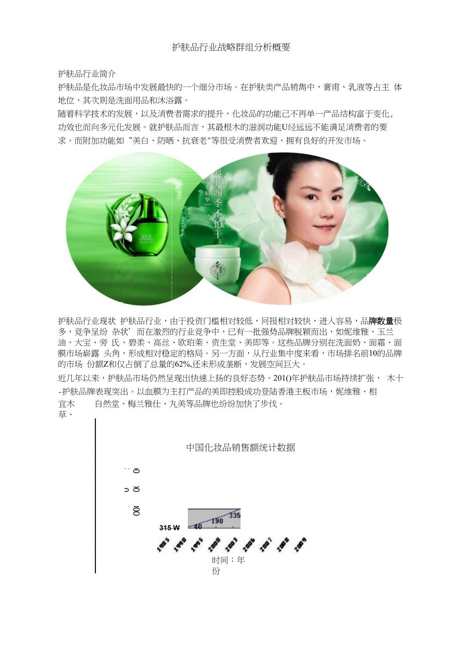 护肤品行业战略群组分析概要_第1页