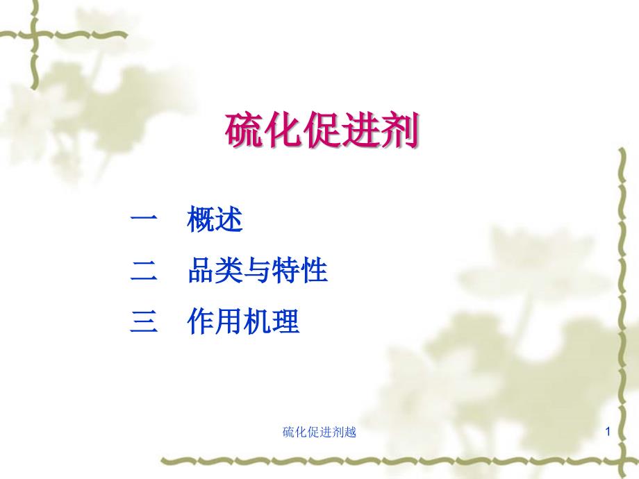 硫化促进剂越课件_第1页