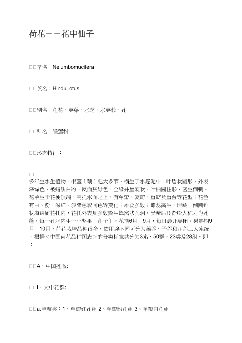 荷花－－花中仙子_第1页