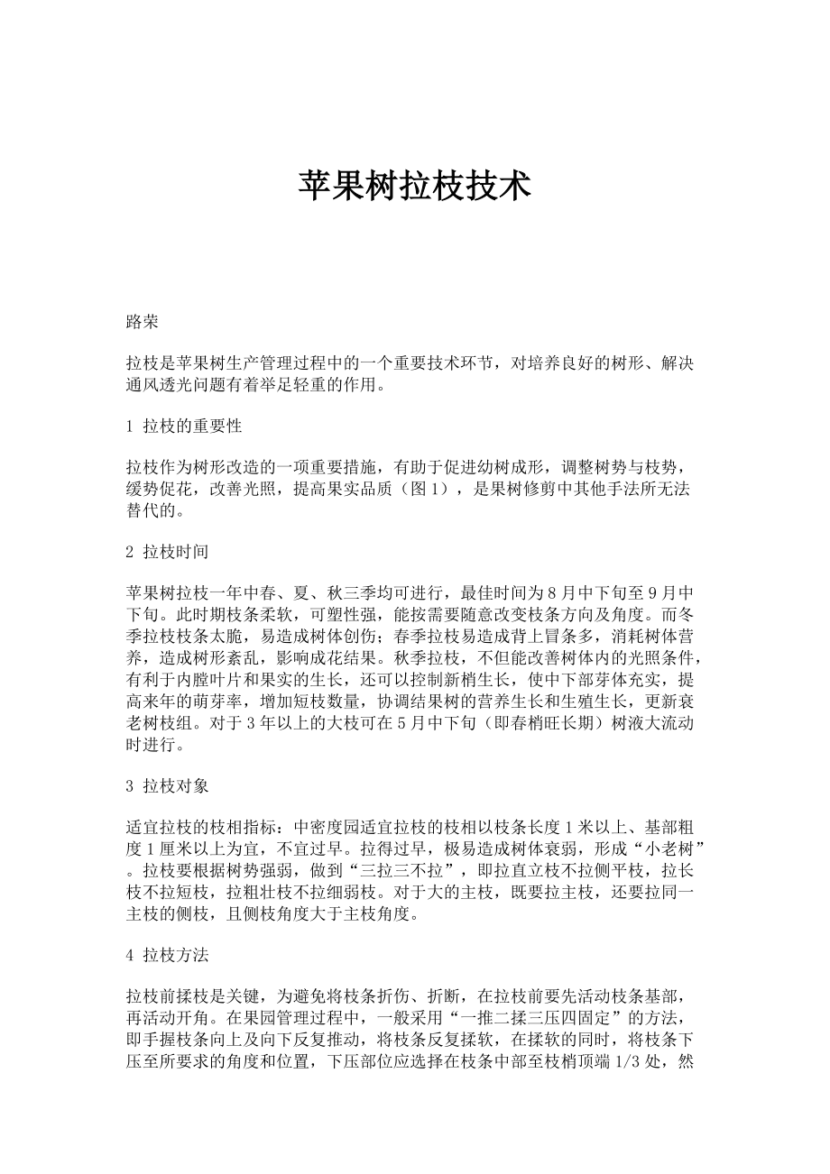 苹果树拉枝技术_第1页