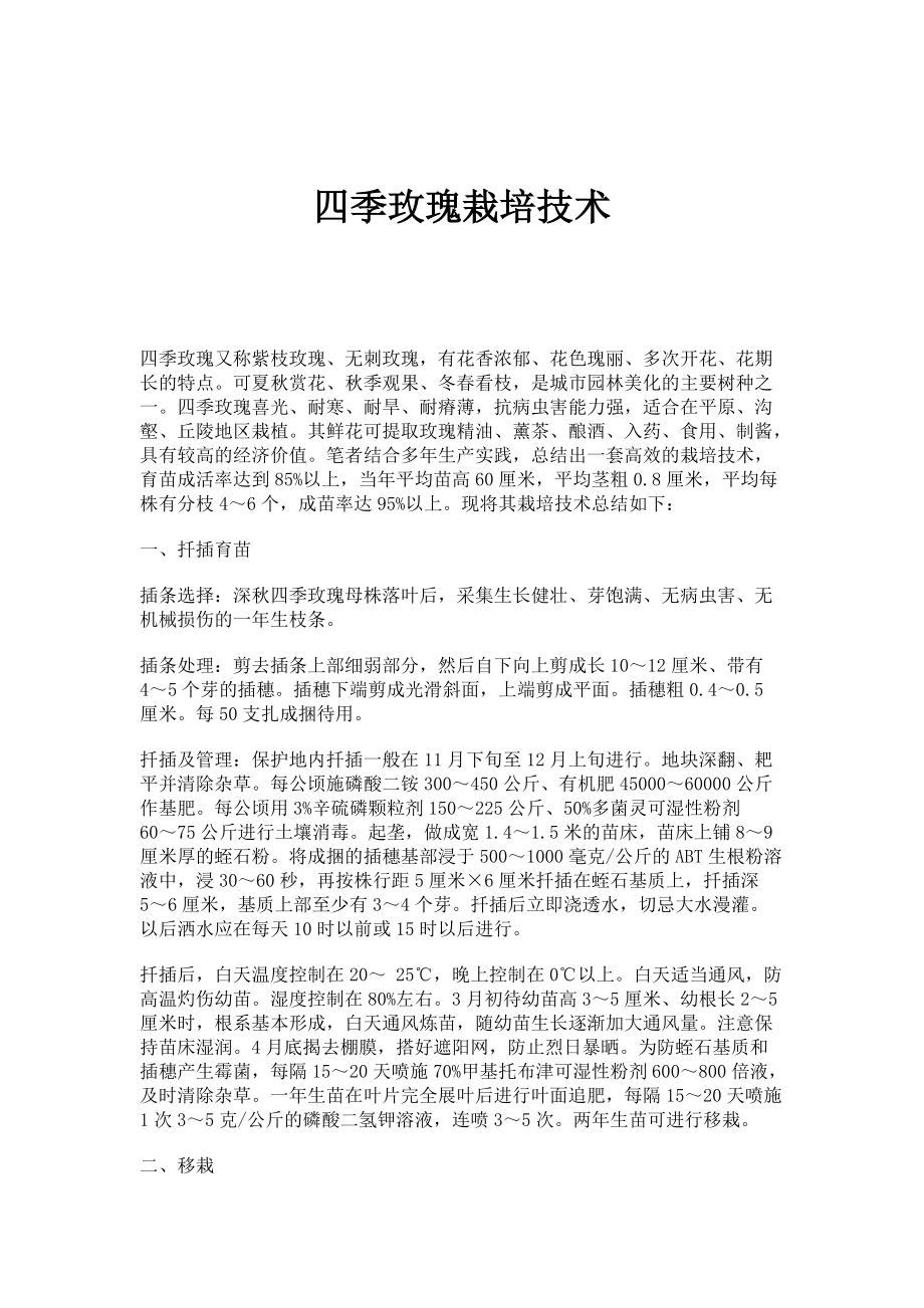 四季玫瑰栽培技术_第1页