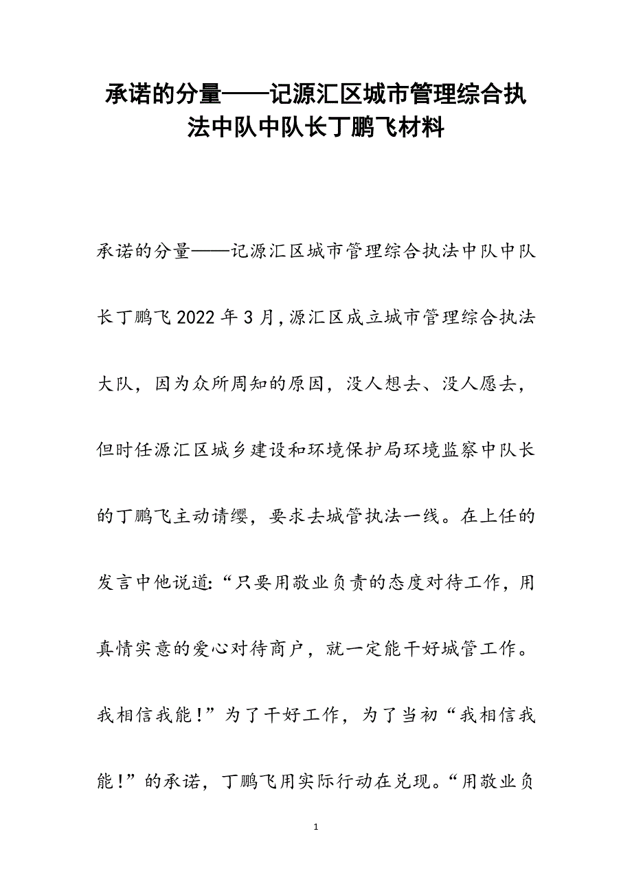 2022年承诺的分量——记源汇区城市管理综合执法中队中队长丁鹏飞范文_第1页