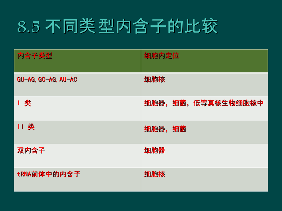 内含子的比较教材课程_第1页