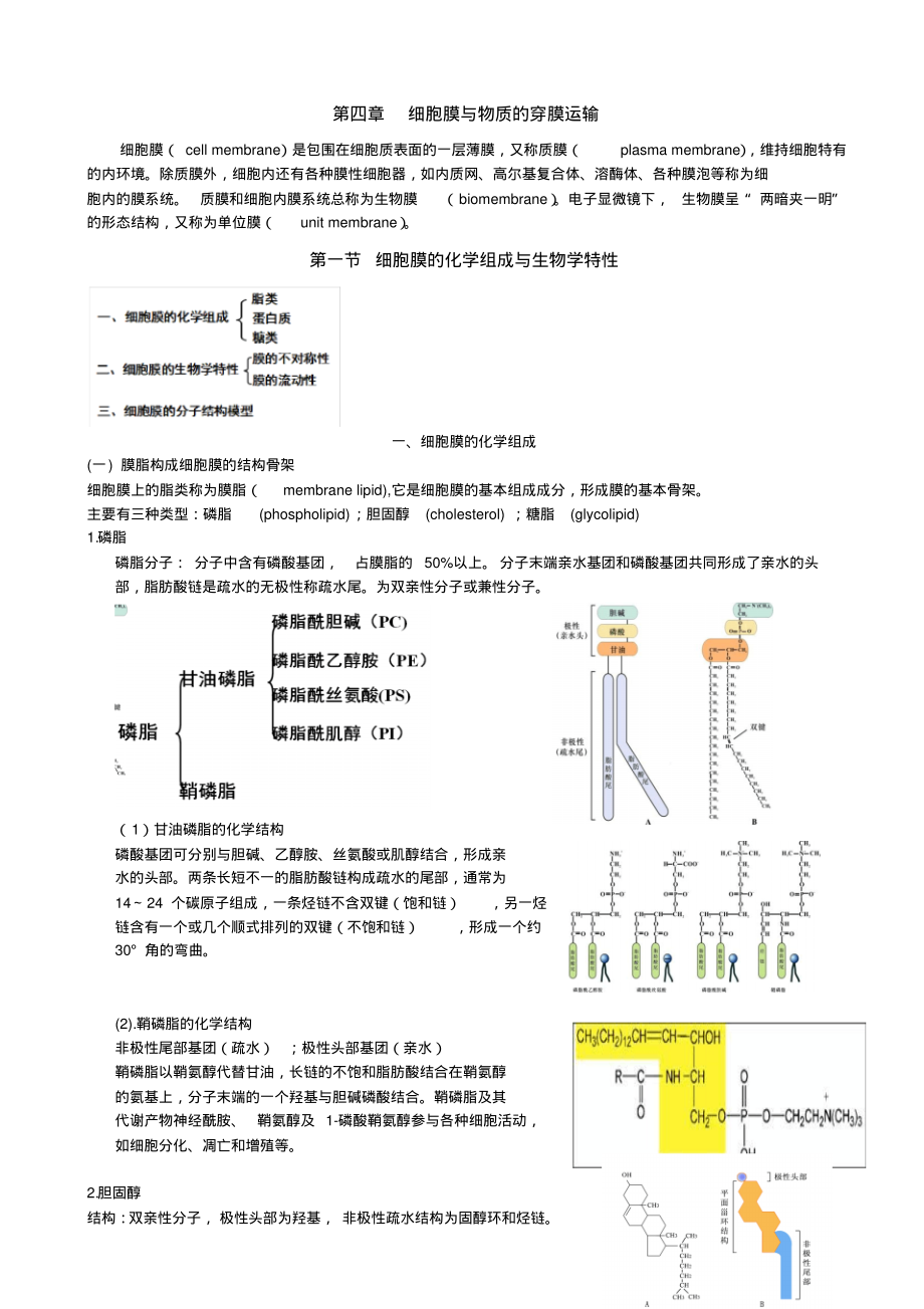 2022年《医用细胞生物学》知识总结_第1页