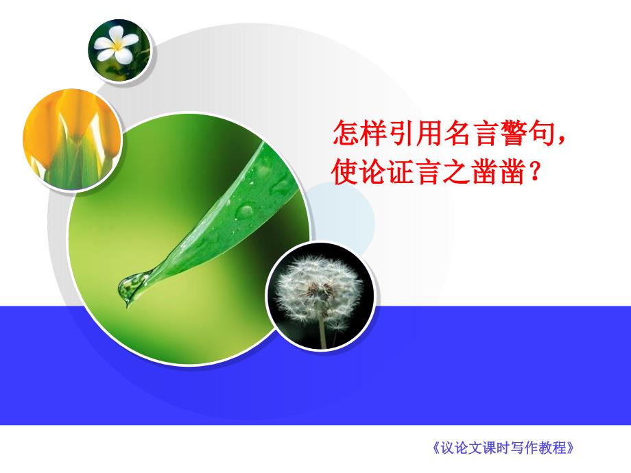 怎样引用名言警句-使论证言之凿凿(实用)ppt课件_第1页