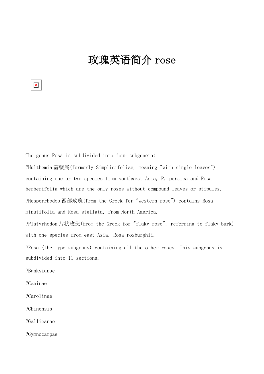 玫瑰英语简介rose_第1页