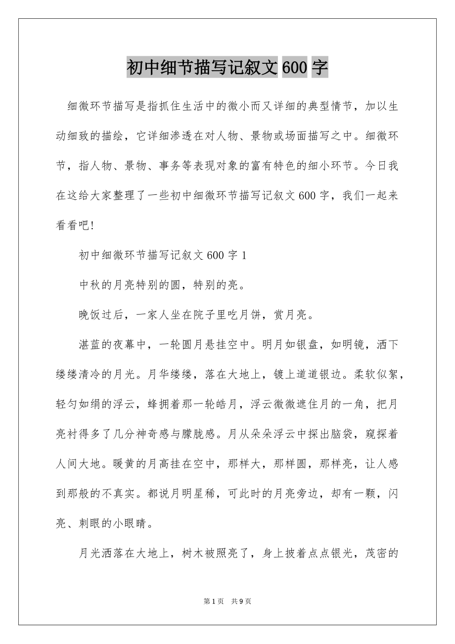 初中细节描写记叙文600字_第1页